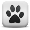 Captcha image 8064